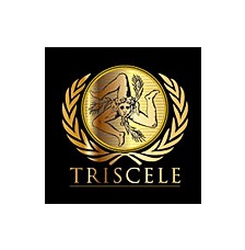 triscele srl