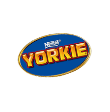 Yorkie